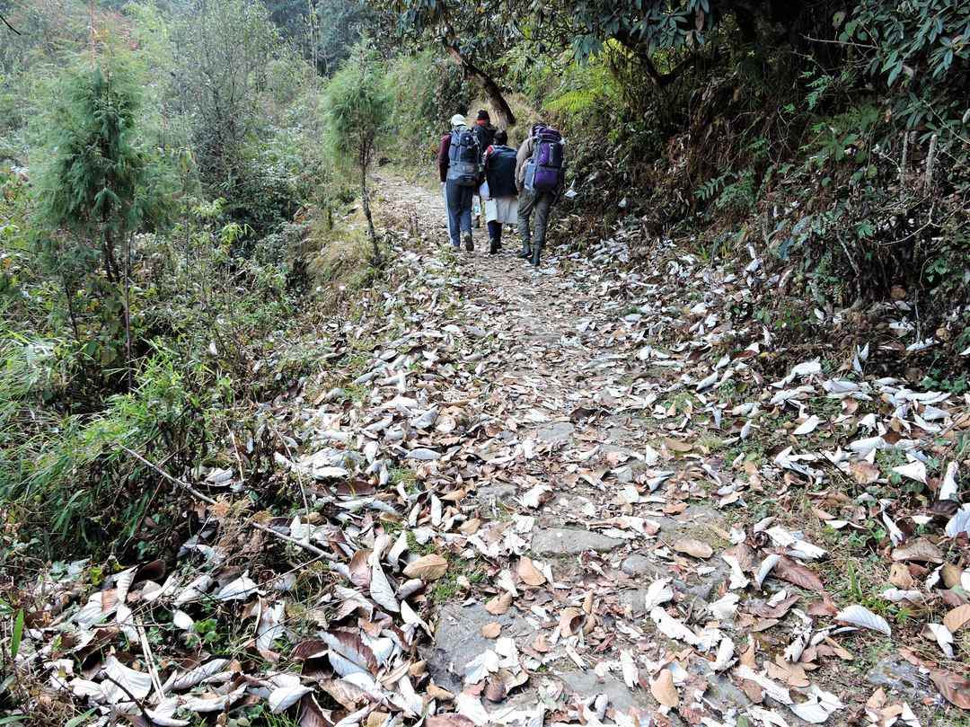 Sandakphu Gurdum Trek