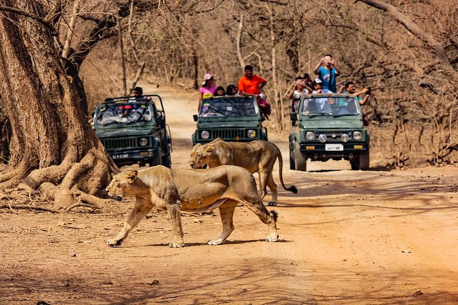 Sasan Gir National Park