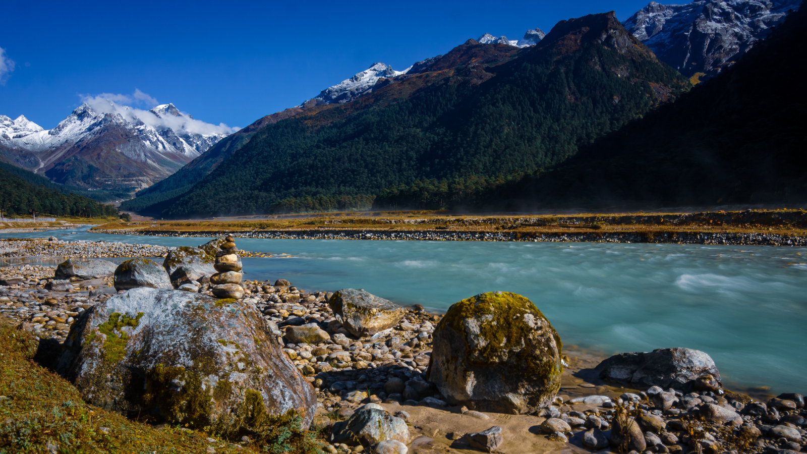 Yumthang Valley