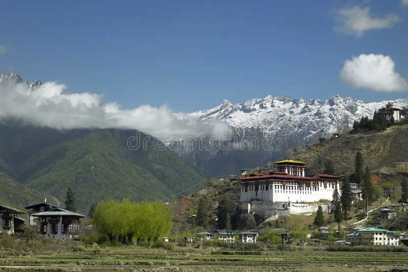 Paro