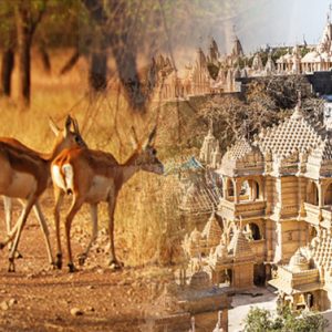 Saurashtra Darshan 8D/7N