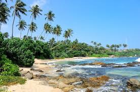 Goa Luxury Trip Plan 4N/5D